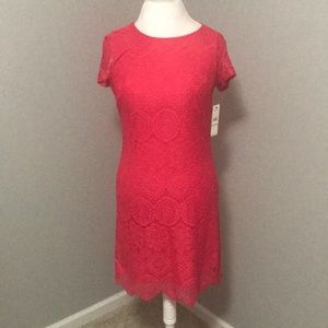 NWT Laundry by Shelli Segal shift dress